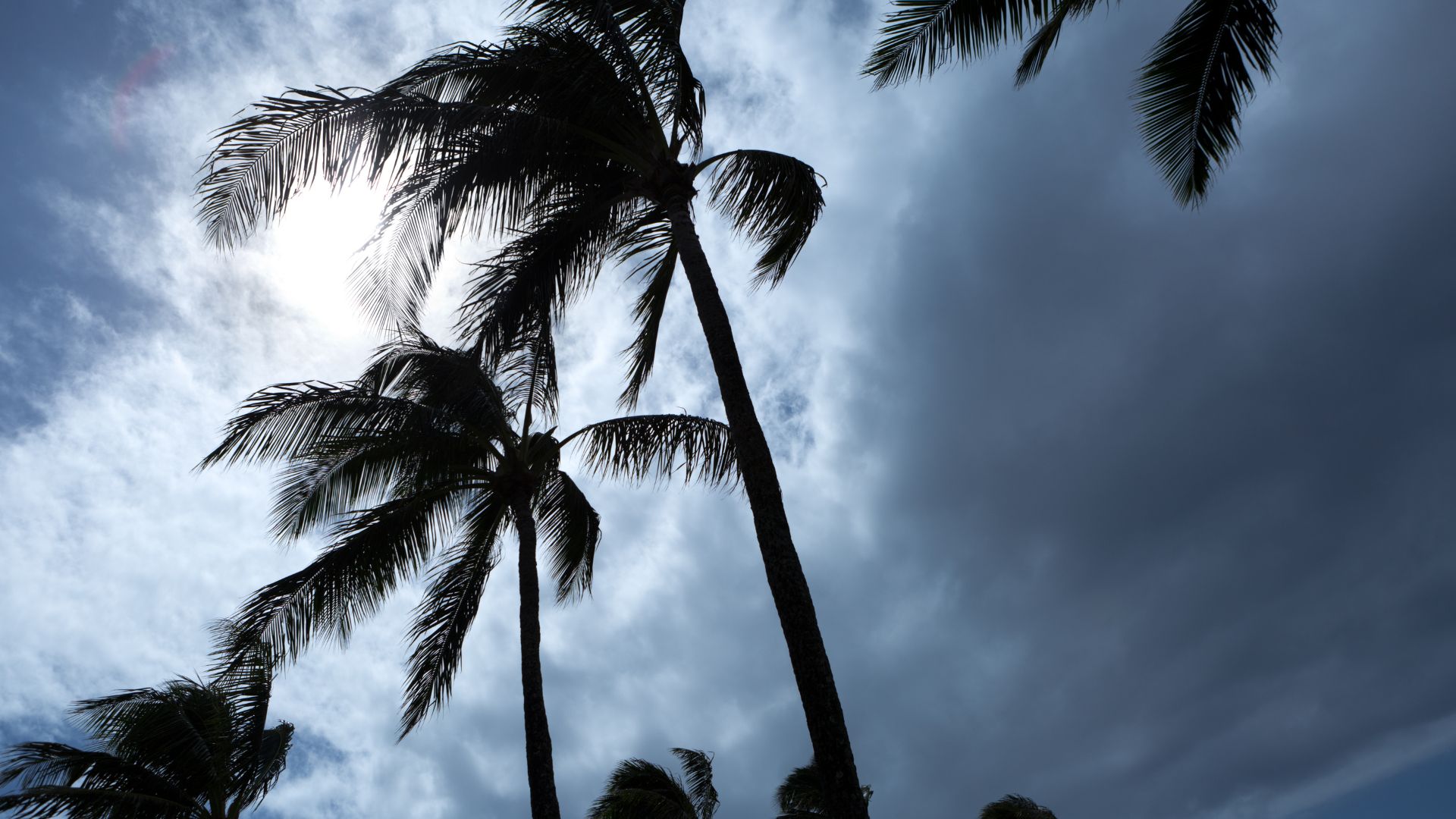 hurricane relief in lee county florida